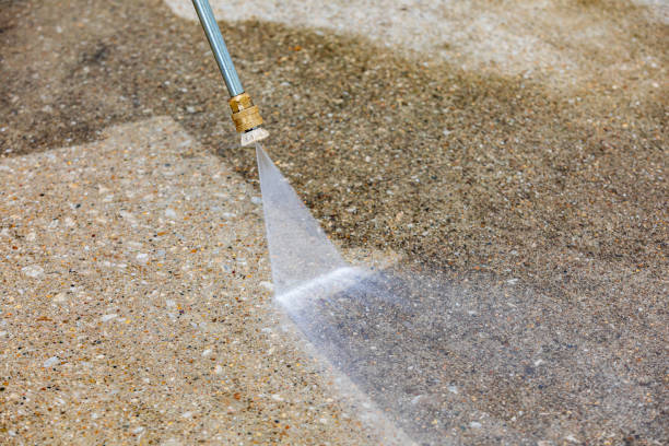 Best Roof Washing  in Cedar Knolls, NJ